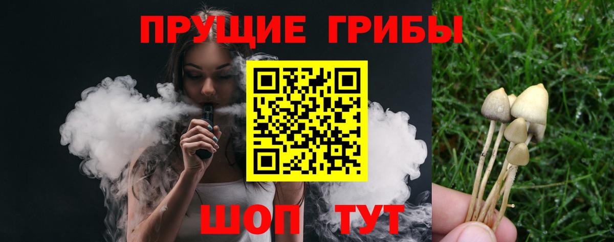 Псилоцибиновые грибы мицелий Можга